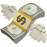 money with wings